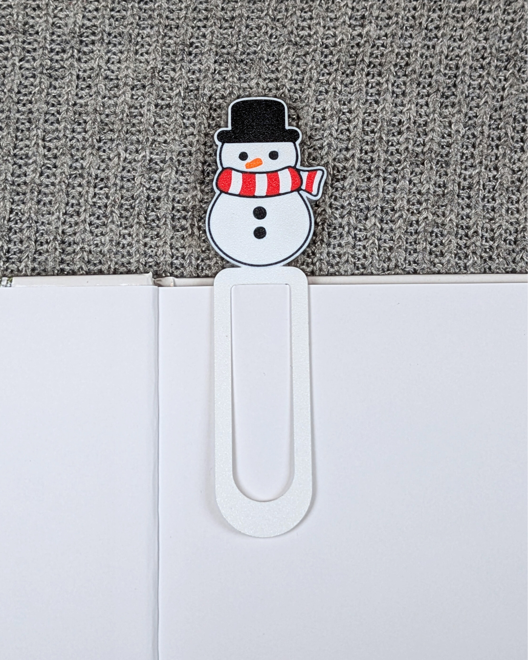 Knygų skirtukas - SNIEGO SENIS