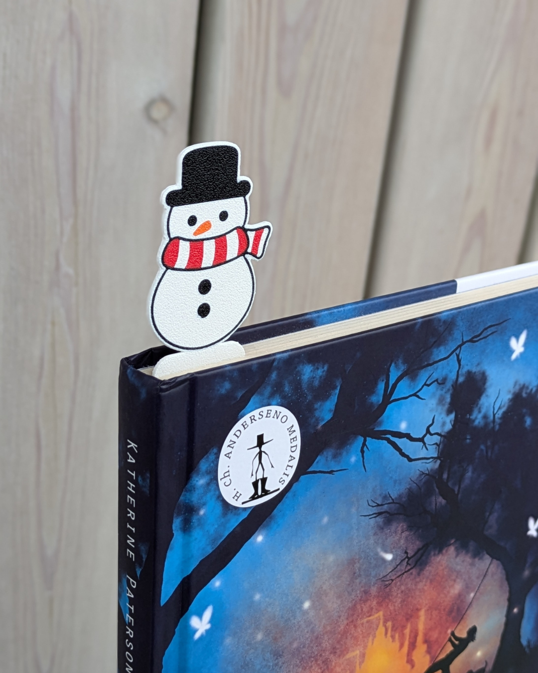 Knygų skirtukas - SNIEGO SENIS