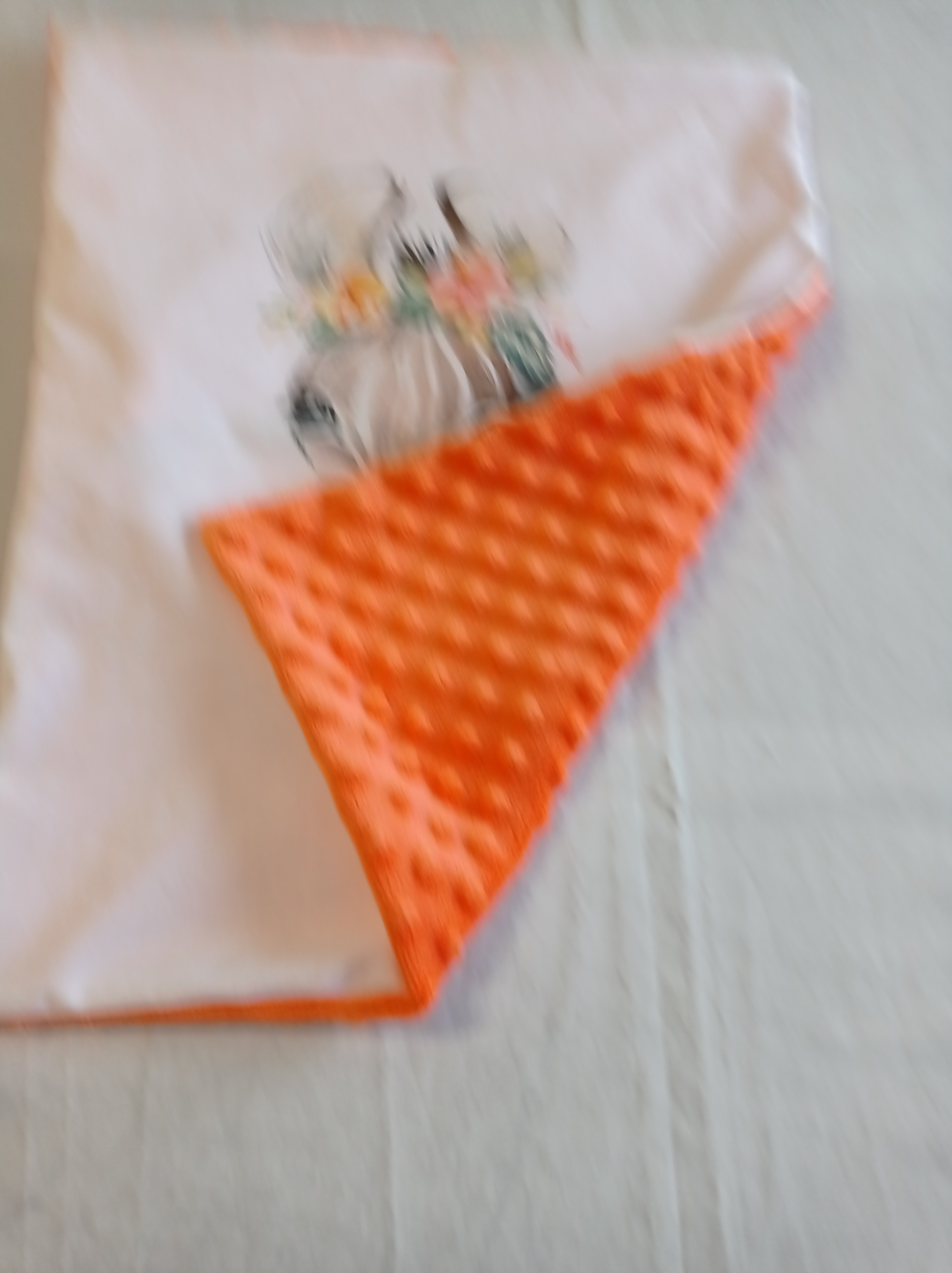 coussin bébé zébré 