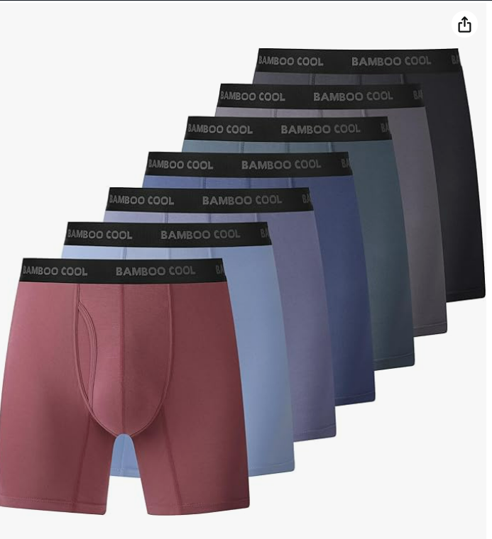 Sous-vêtements pour hommes BAMBOO COOL Boxer Briefs respirants et doux avec braguette Sous-vêtements pour hommes