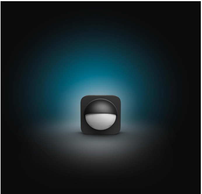 Philips Hue Outdoor Sensor, Détecteur de Mouvement extérieur, sans Fil, Noir [Classe énergétique A]