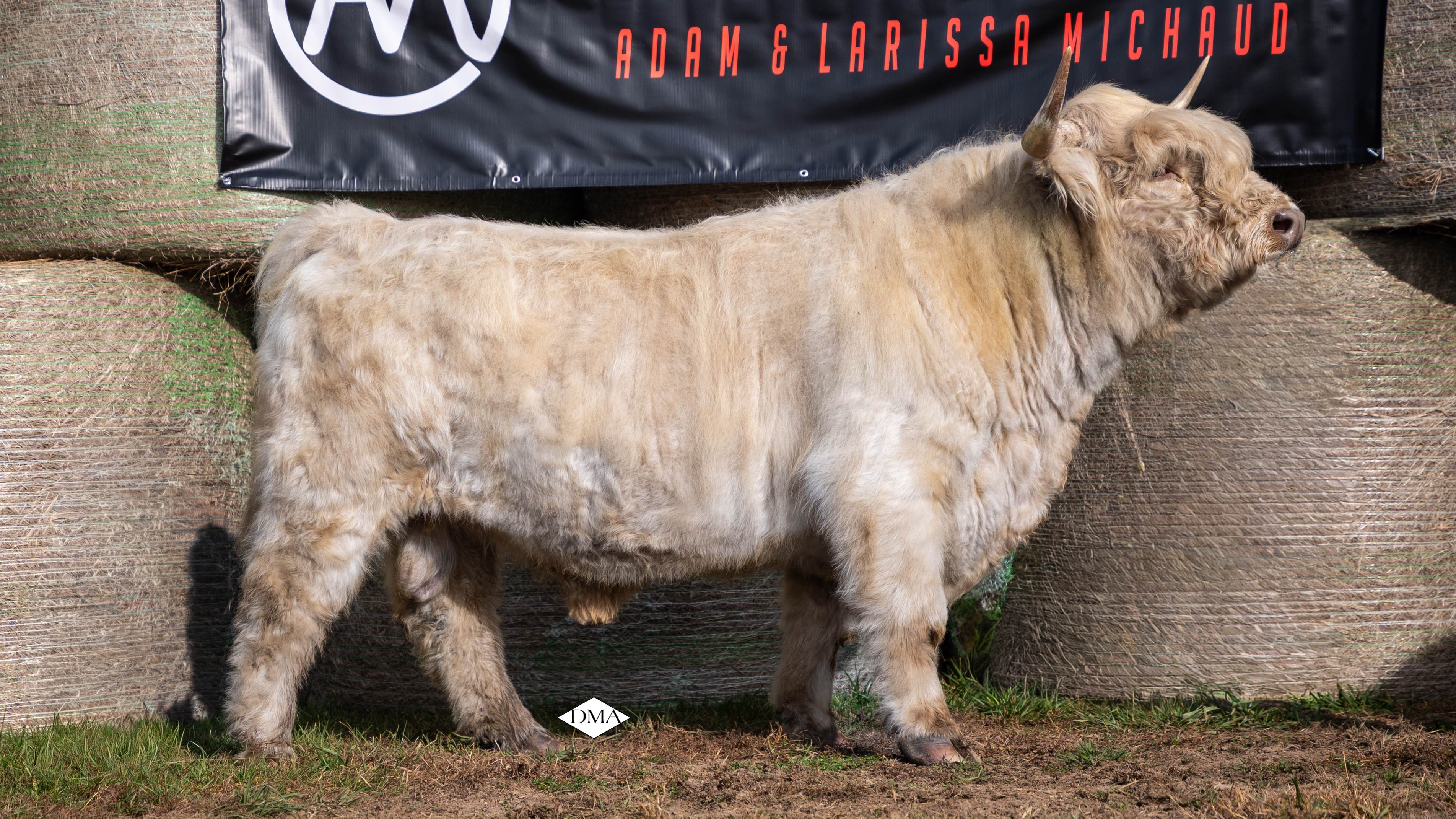 BTTR IronMan - Conventional Semen 