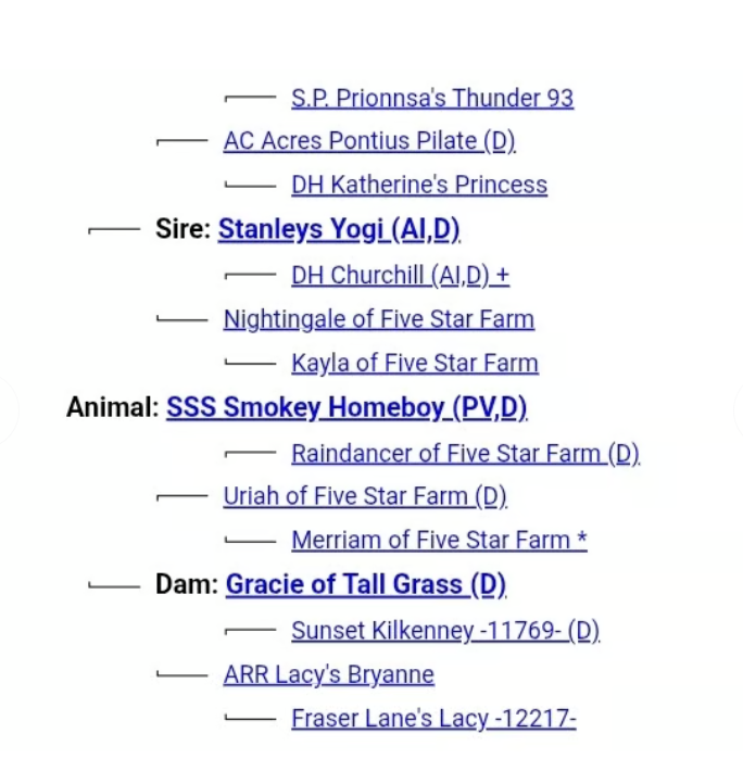 SSS Smoky Homeboy - Heifer Plus Semen 