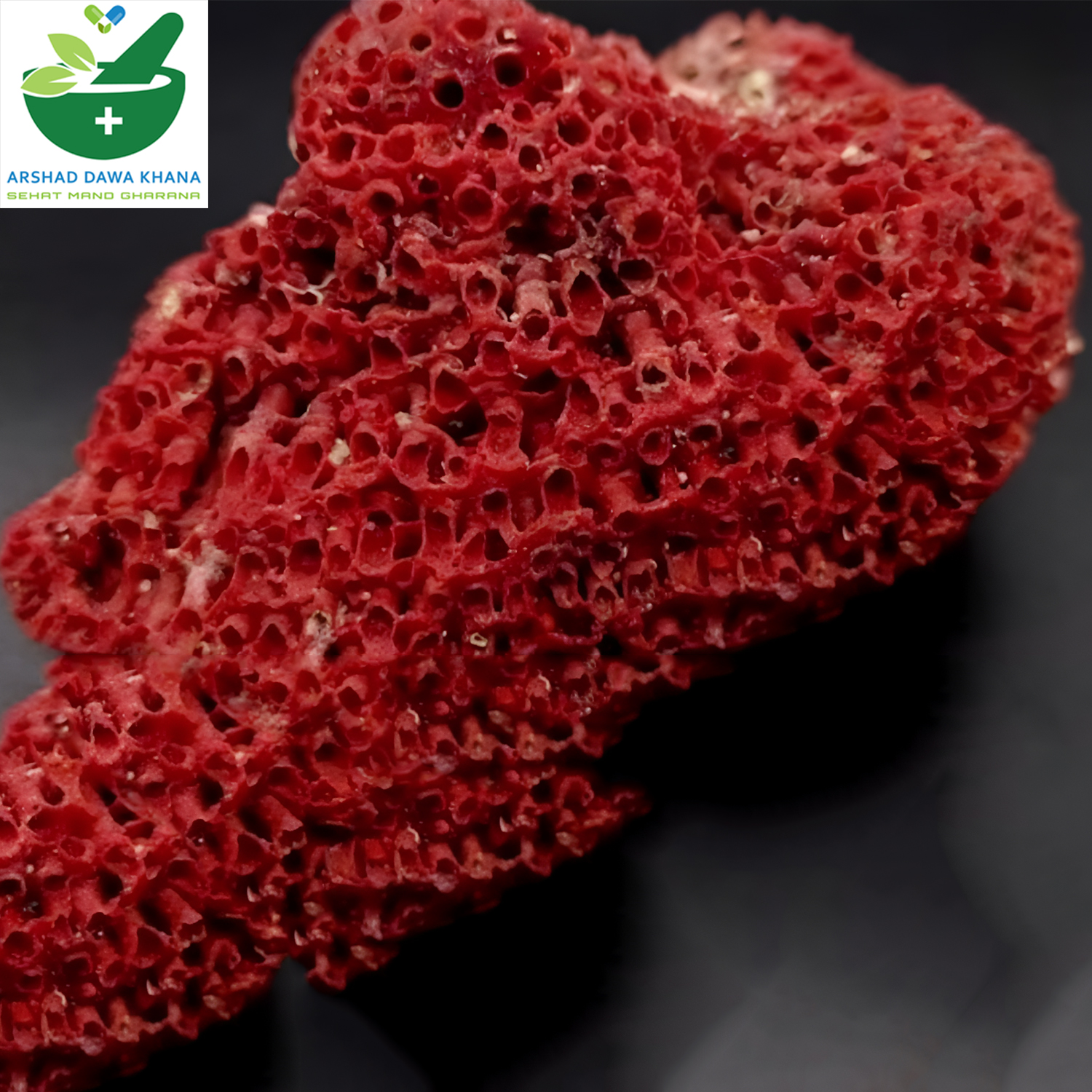 Baikh Marjan | Bekh Marjan