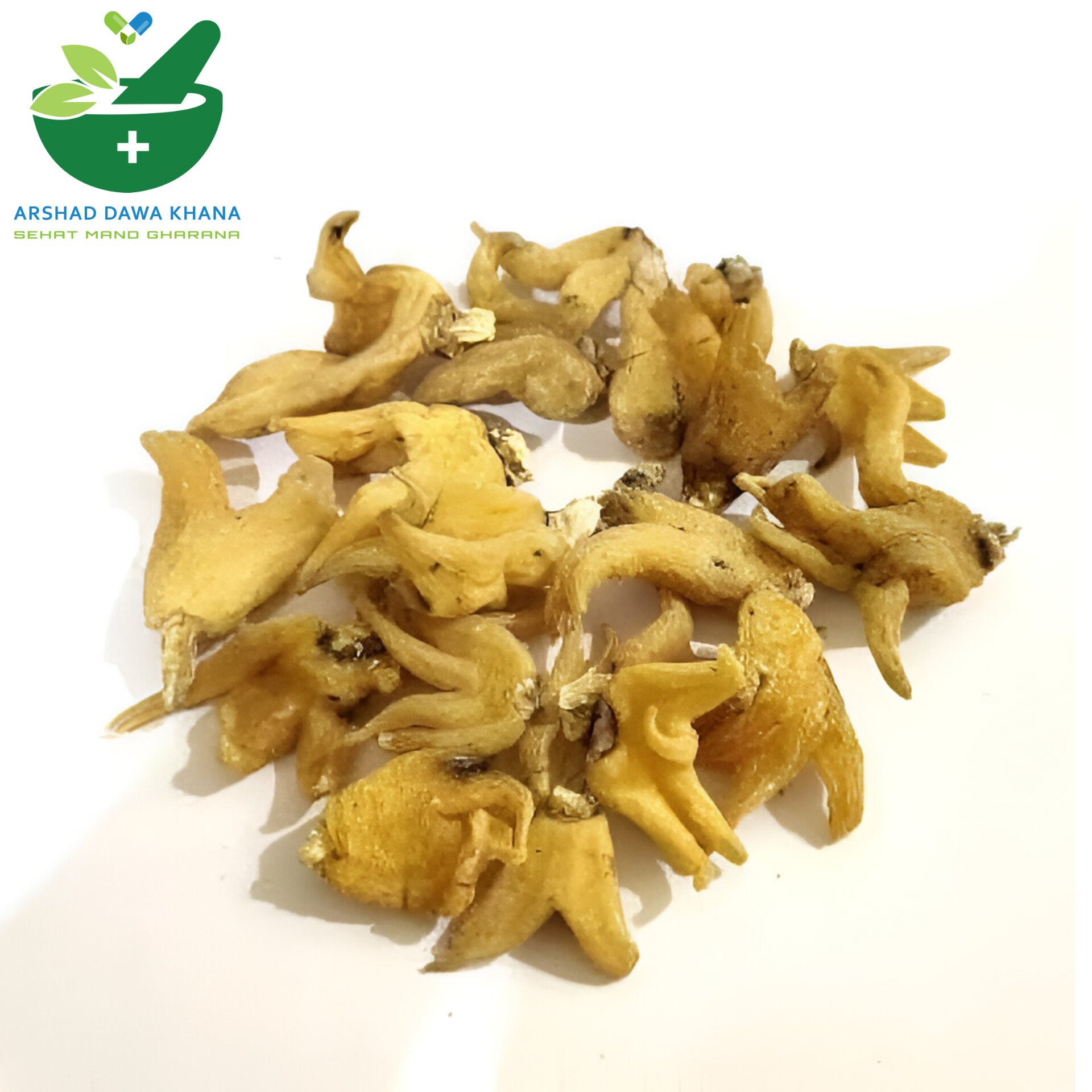 Saleb Panja | Salab Panja