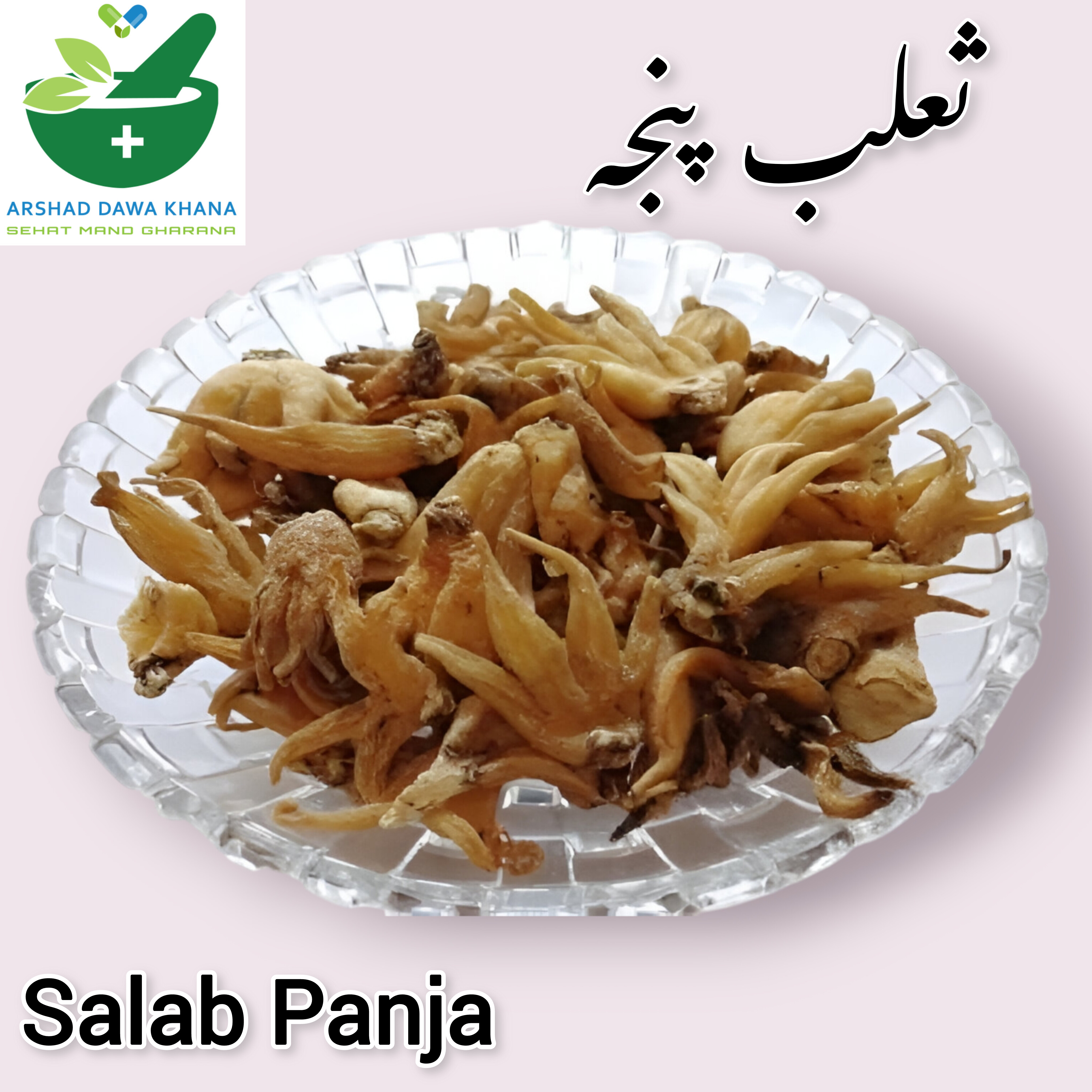 Saleb Panja | Salab Panja