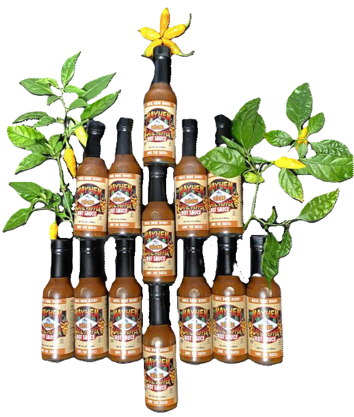12 Pack Case Mayhem "Original" Datil Pepper Hot Sauce