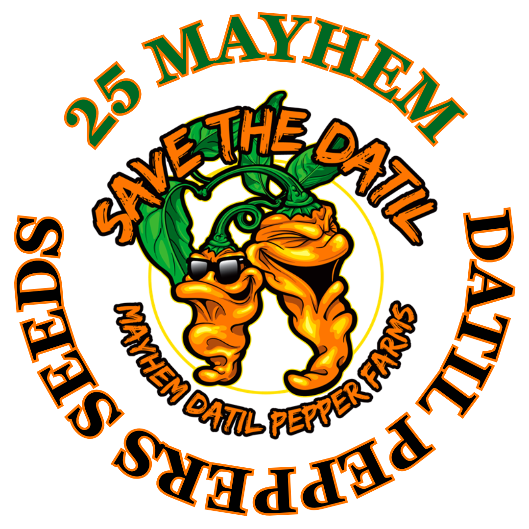 25 + Mayhem Heirloom Datil Pepper Seeds 