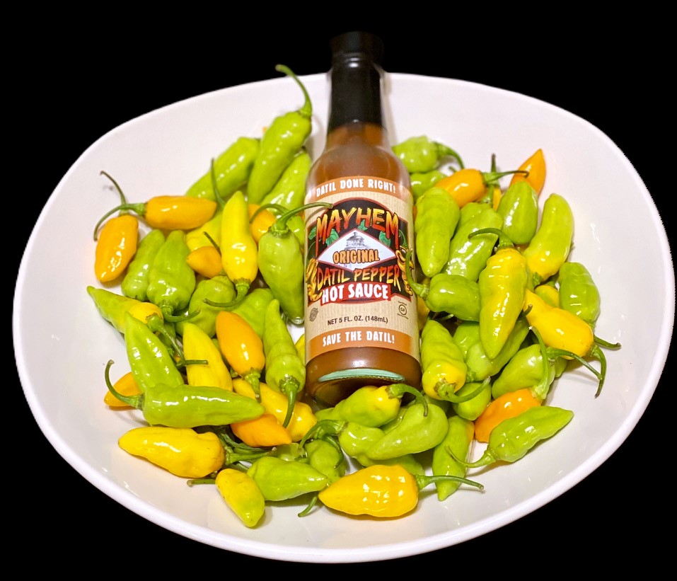 "Save The Datil" Survival Kit