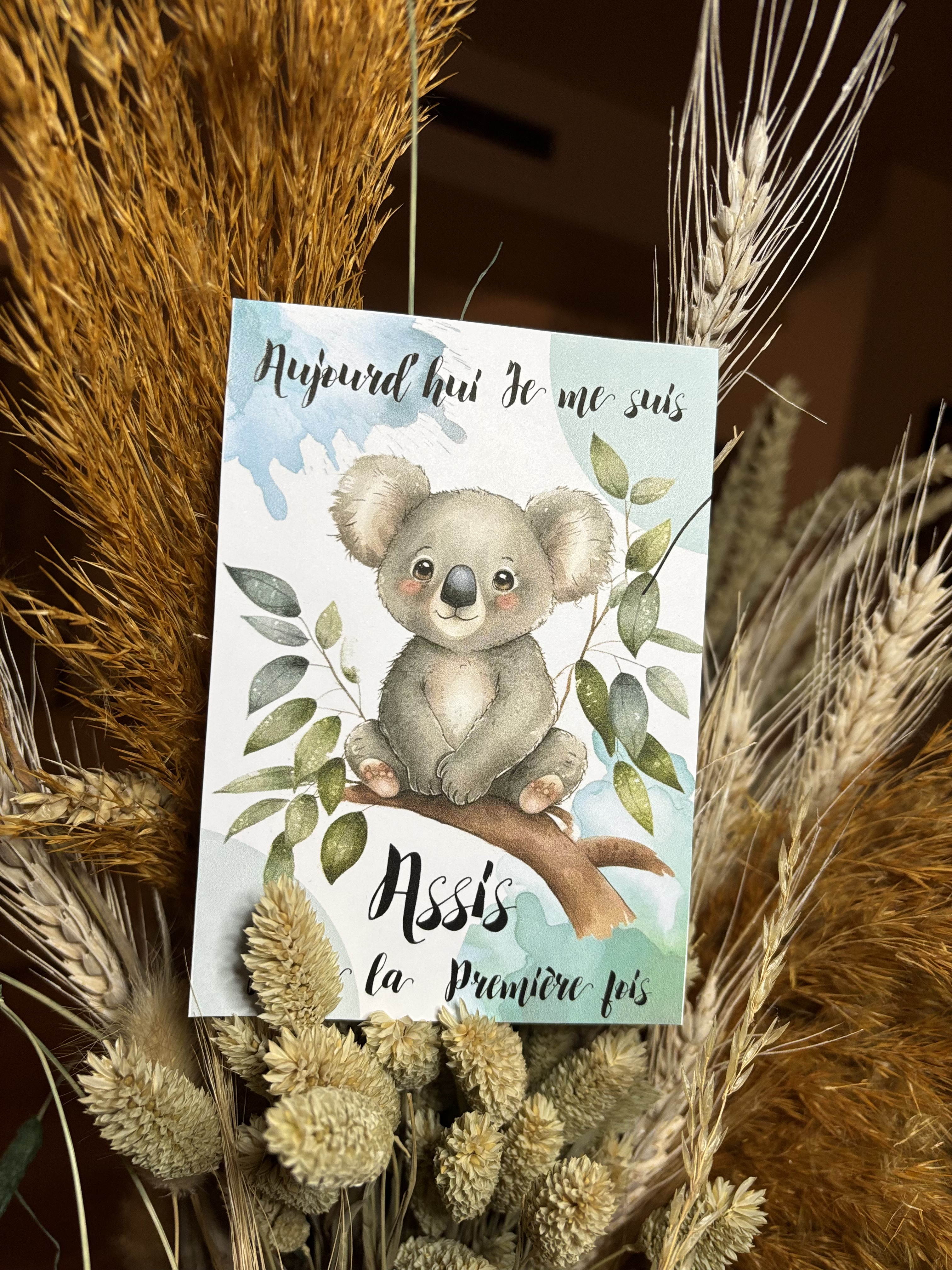 Cartes étapes thème Koala