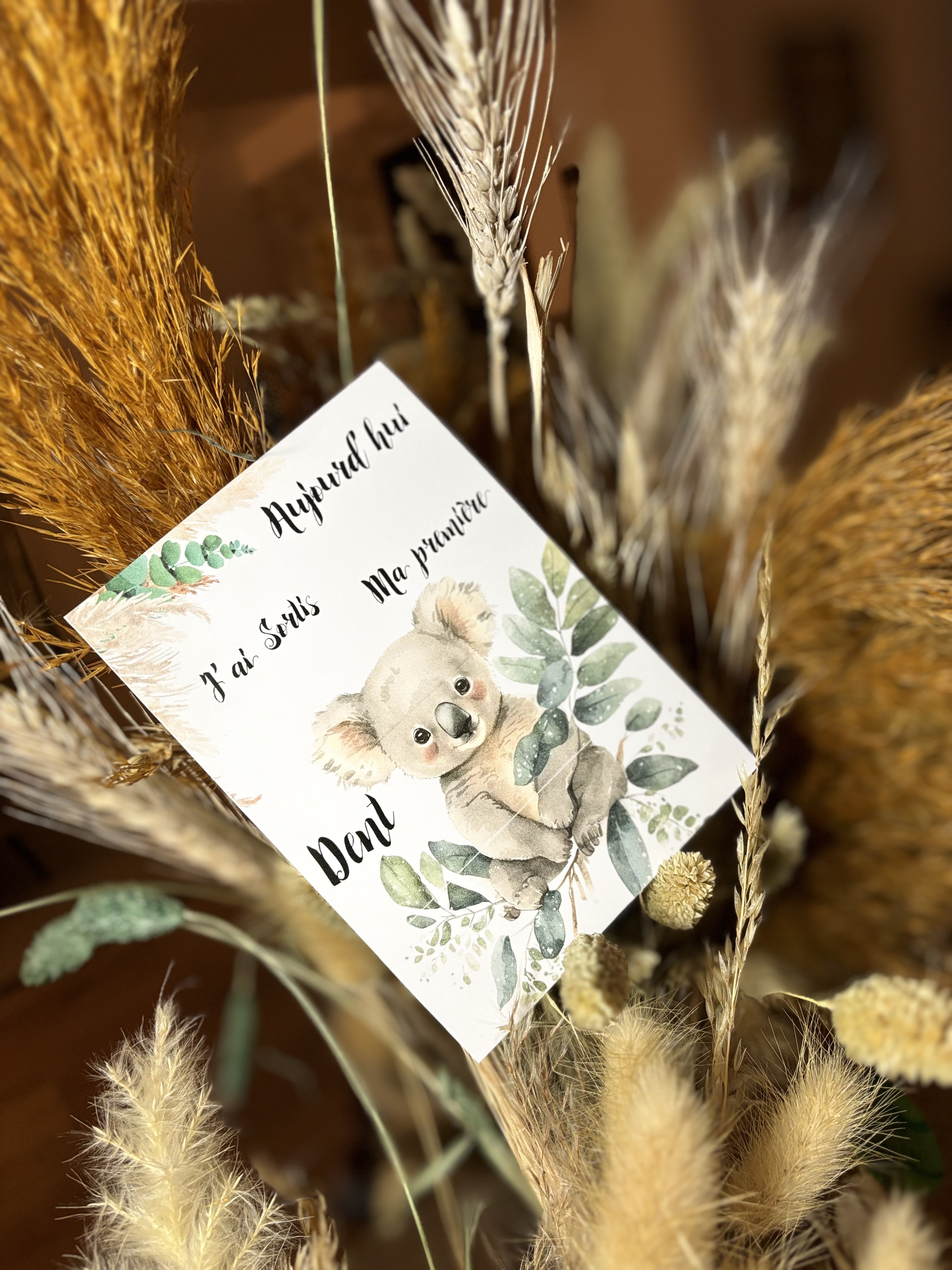 Cartes étapes thème Koala