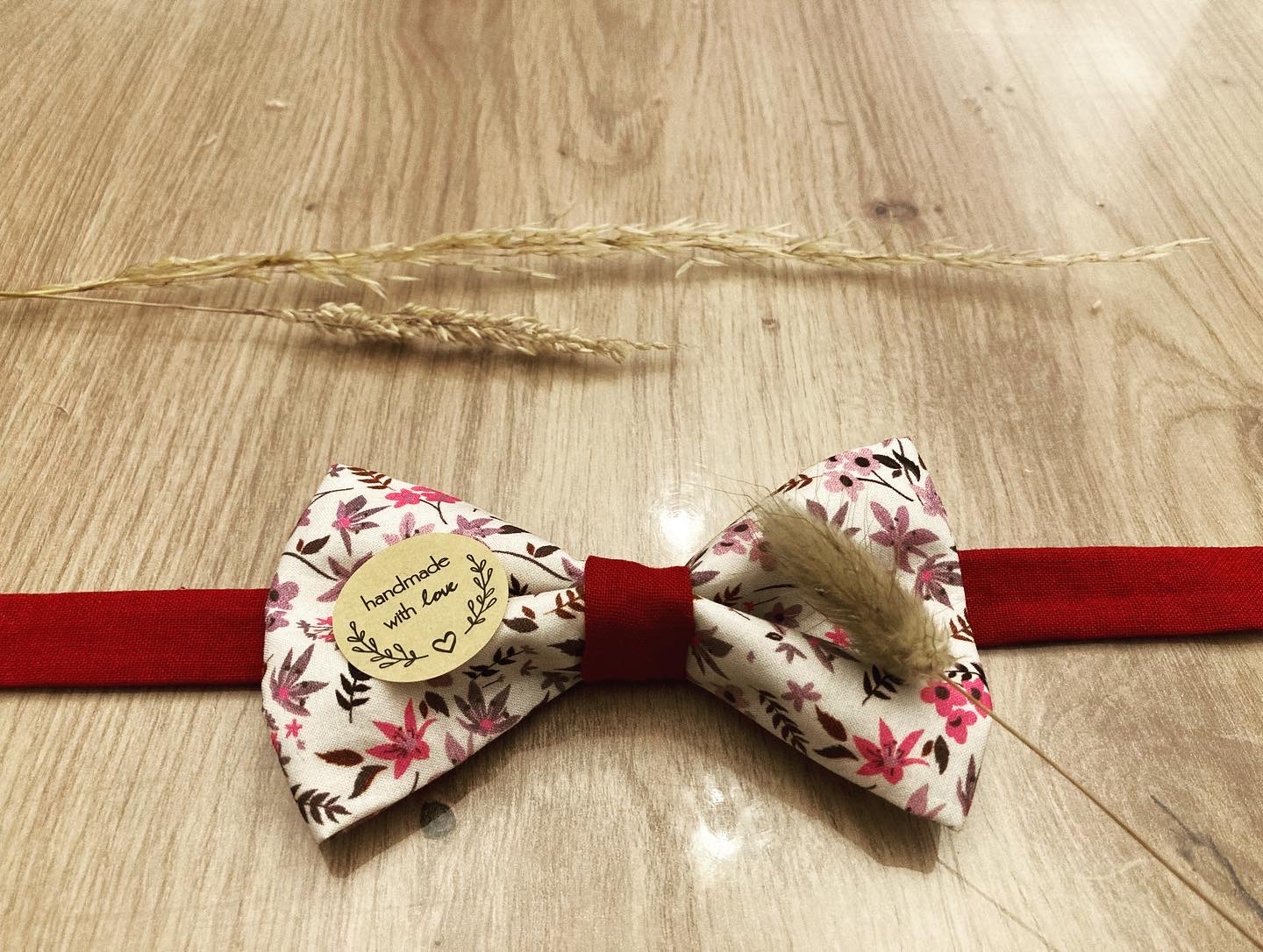 Noeud de Papillon Bordeau Chic