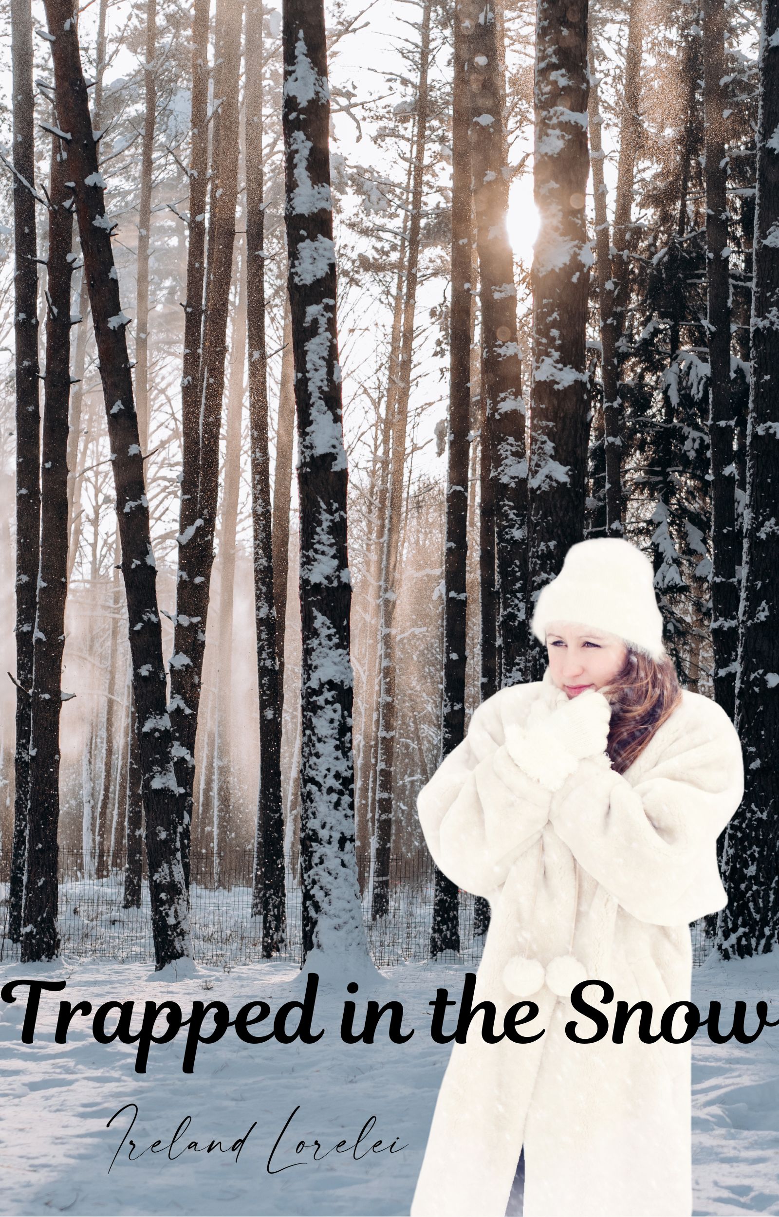 Trapped in the Snow