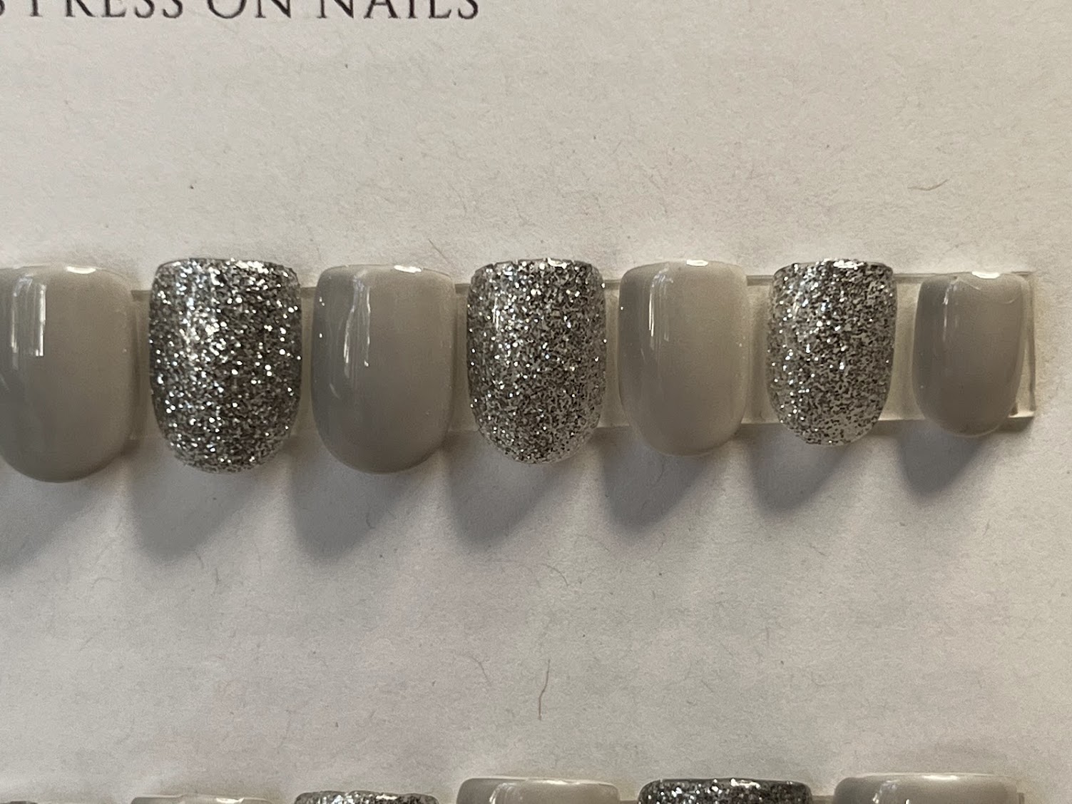 Moonlit Silver