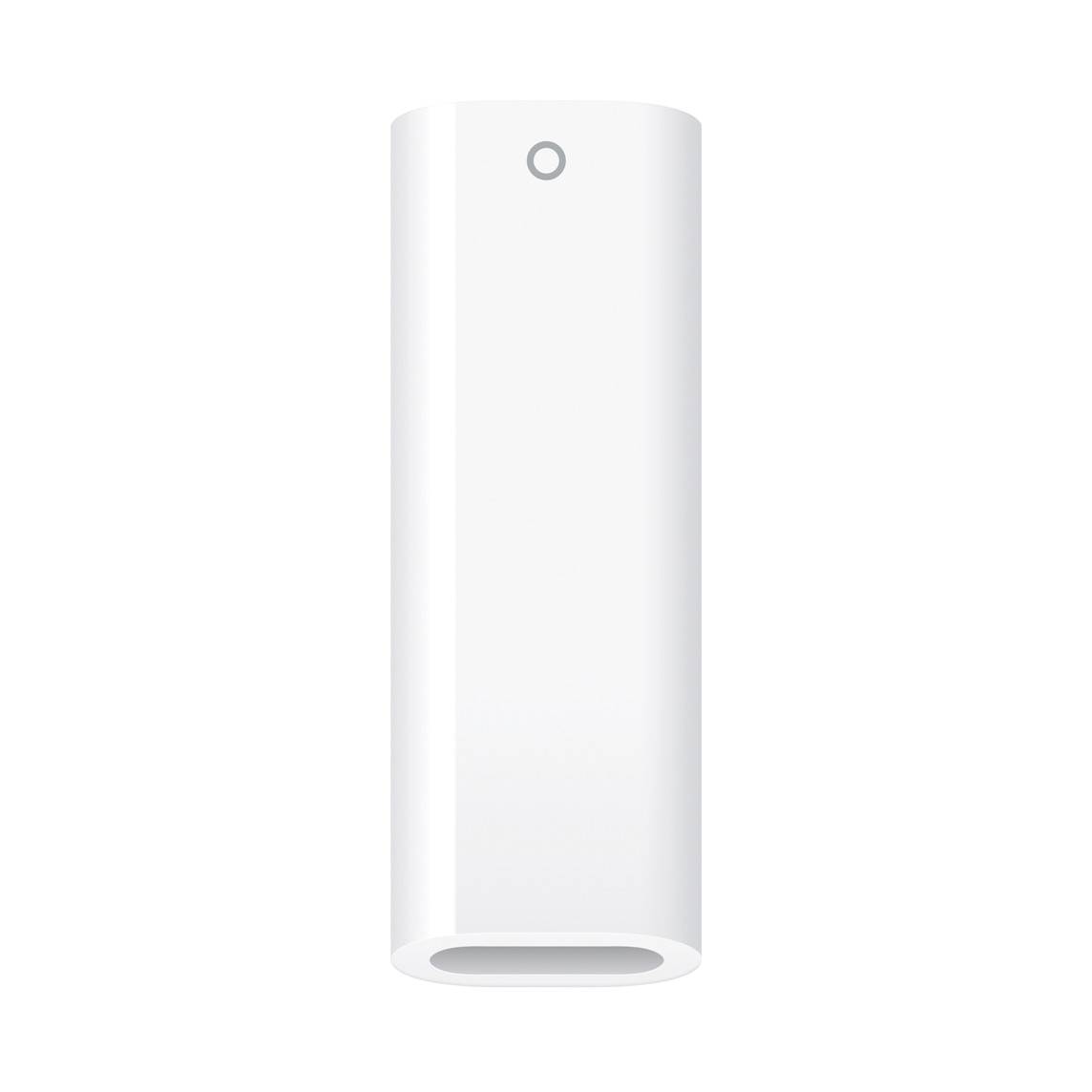 Apple USB-C to Apple Pencil Adaptor