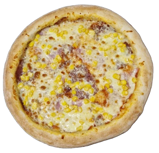 011 NEAPOL