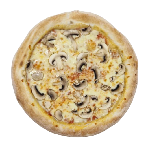 003 AL FUNGHI