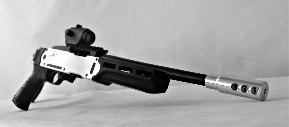 Custom Ruger 10/22 Folding Stock