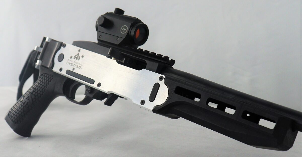 Custom Ruger 10/22 Folding Brace