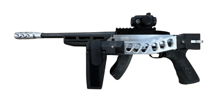 Custom Ruger 10/22 Folding Brace
