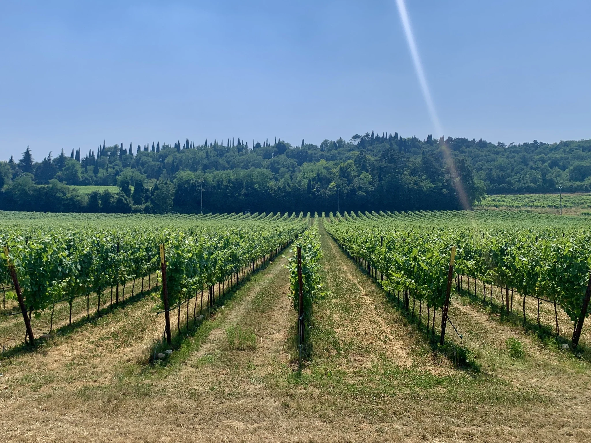 Wine Tour 09/09/2025