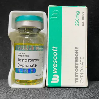 TESTOSTERONE CYPIONATE 250mg
