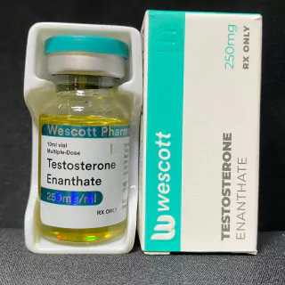 TESTOSTERONE ENANTHATE  250mg