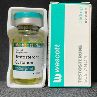 SUSTANON / POLYSTERON  250mg/ml