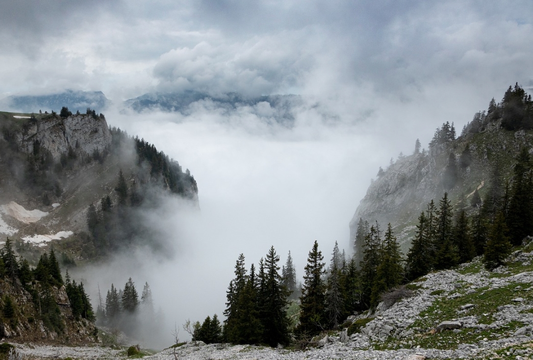Mountain Mist