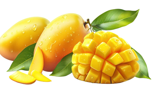 Mango Fiesta