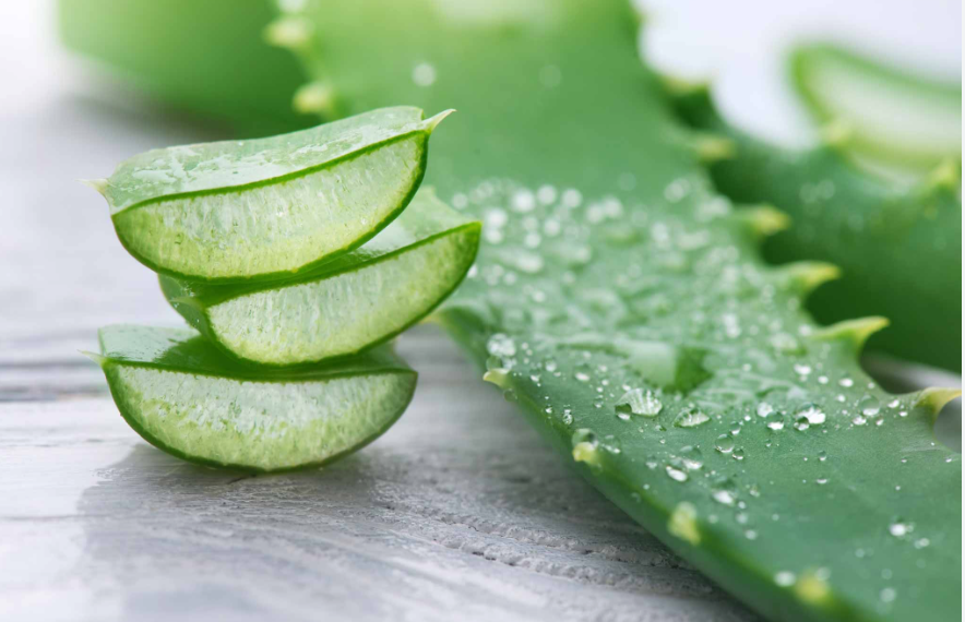 Aloe Citrus Bliss 