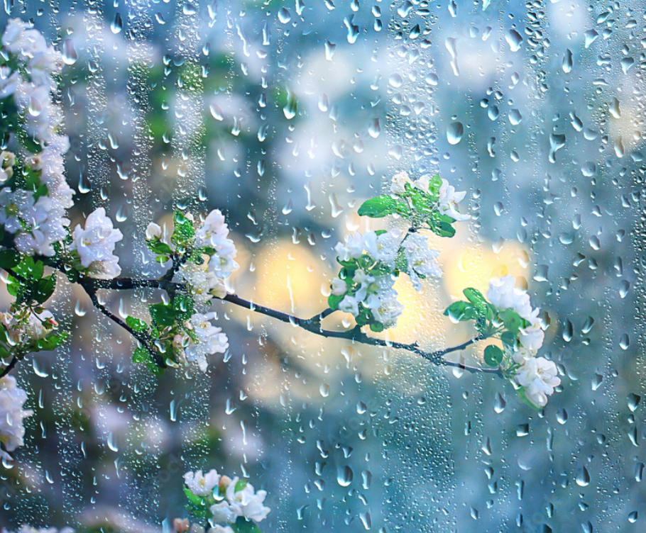 Rainfall Radiance