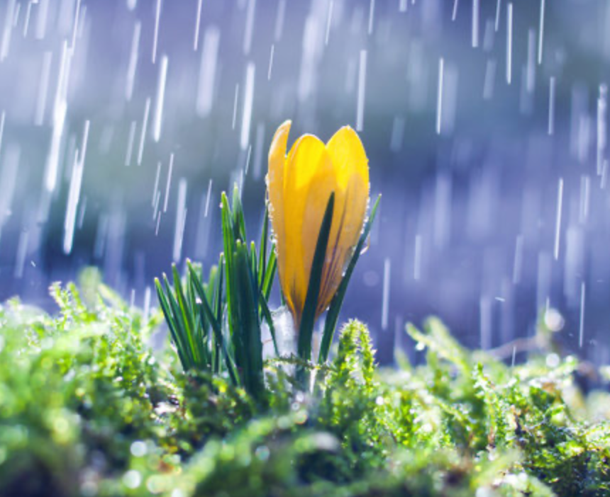 Rainfall Radiance
