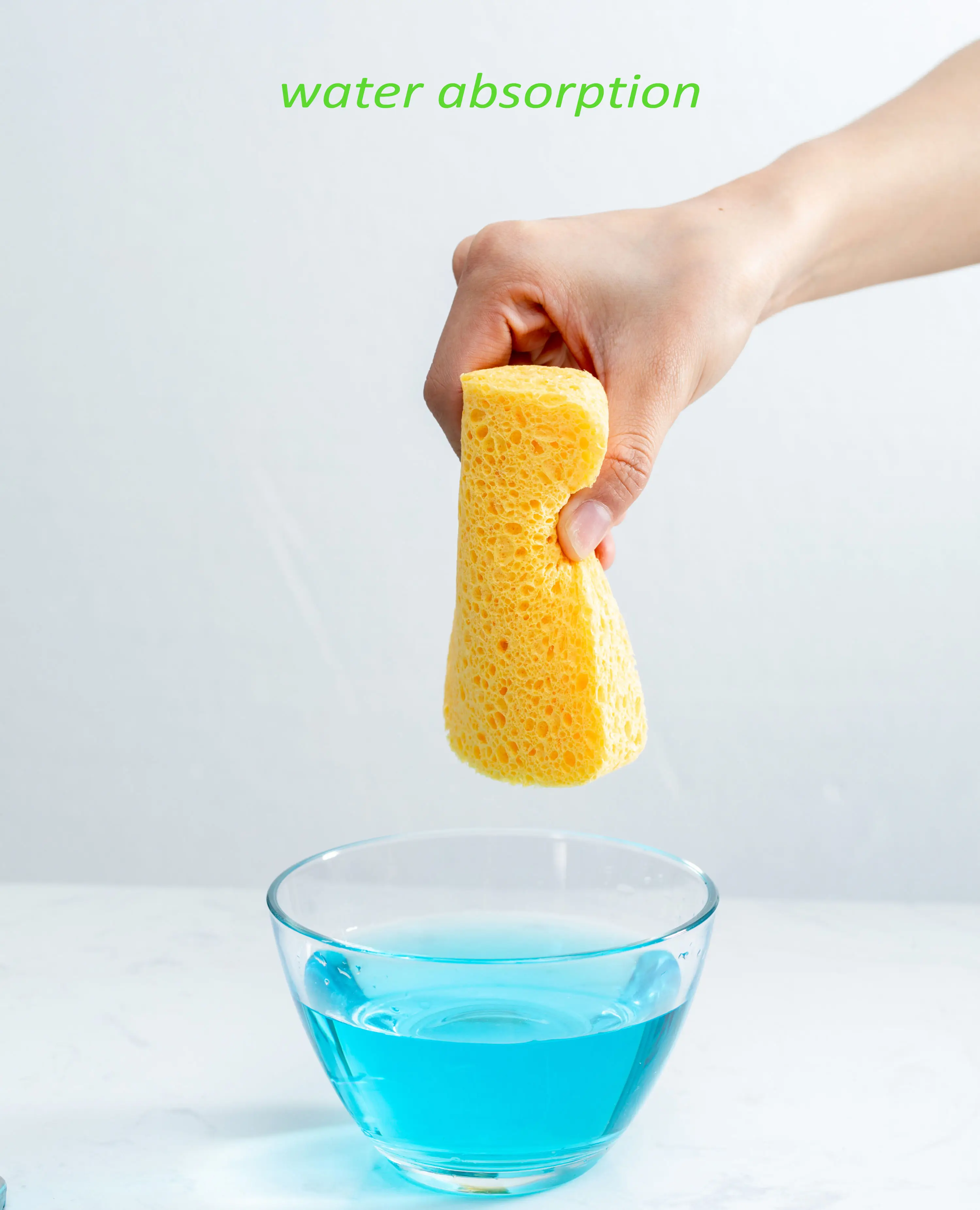 Colorful Sponge Set
