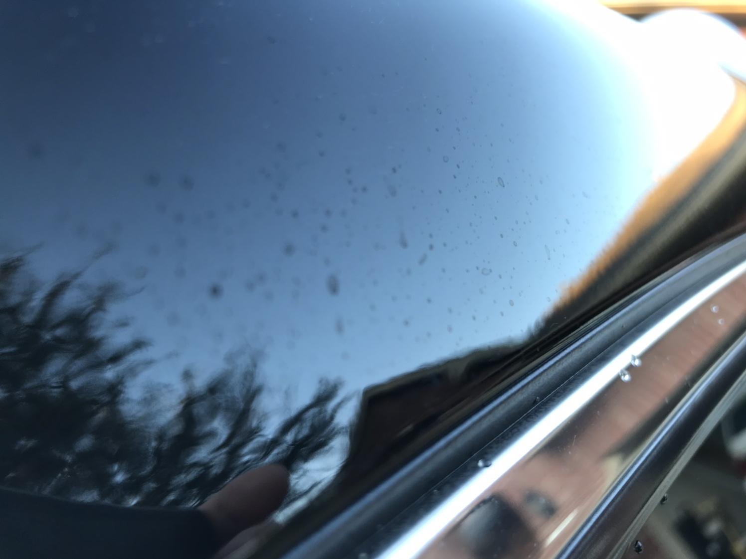 Water Spot Removal (150$)