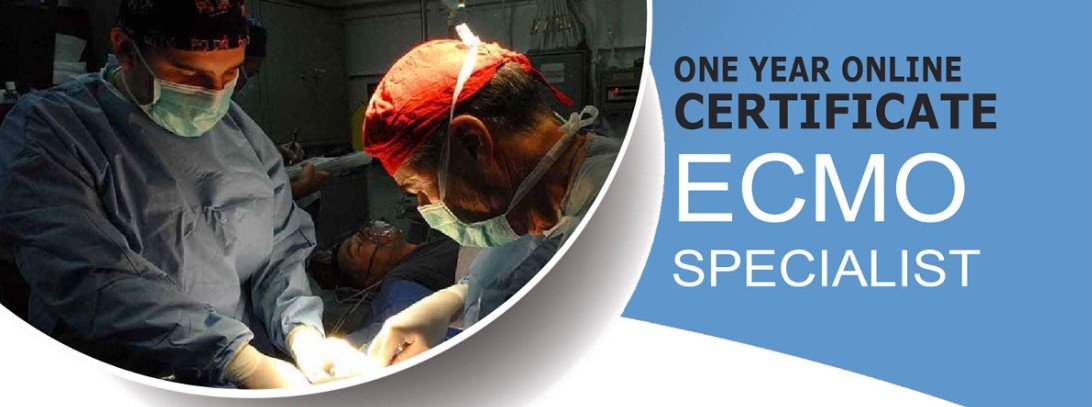 One Year Fellowship in ECMO Specialist