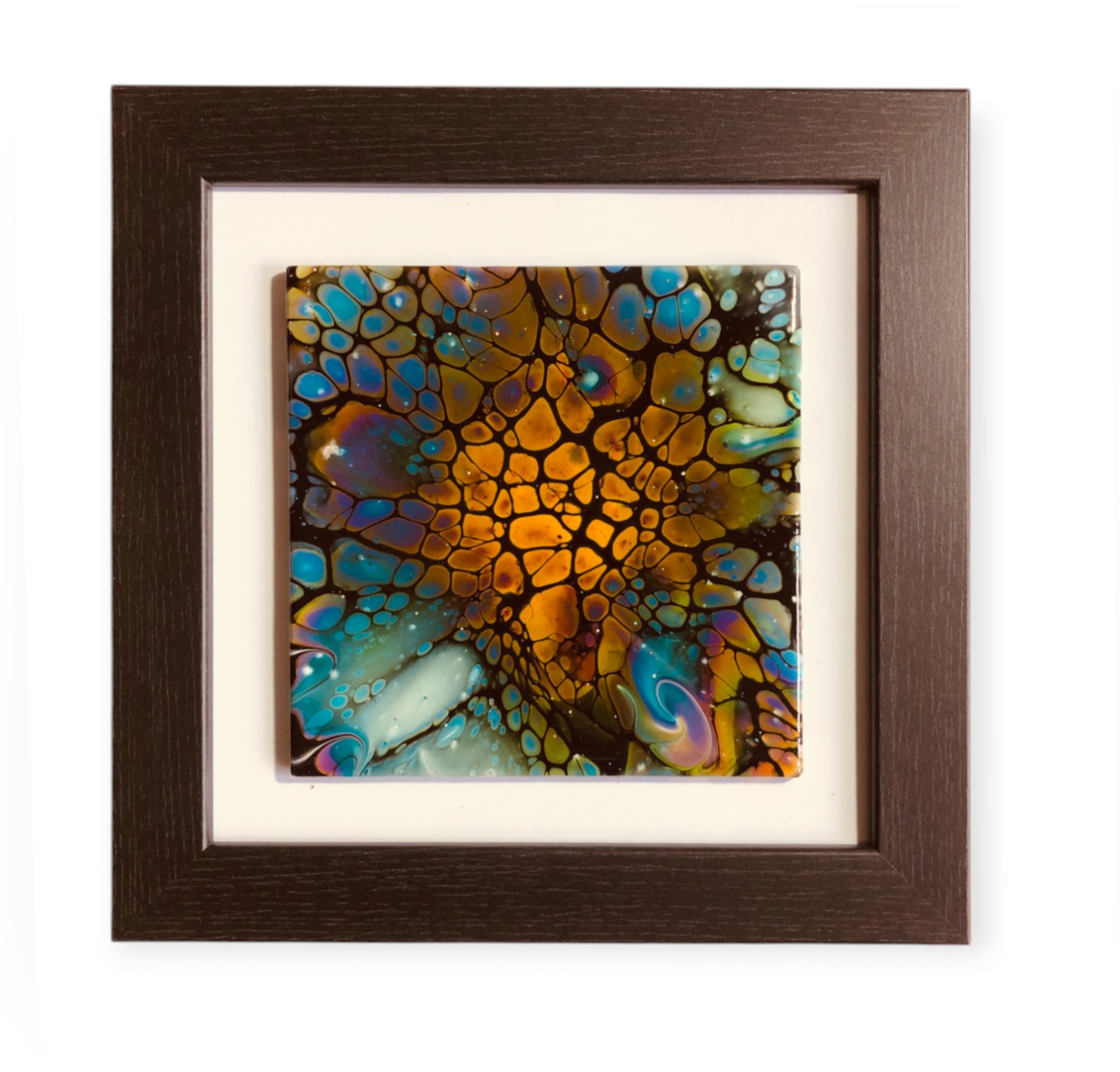 Framed Art - Moth Magic