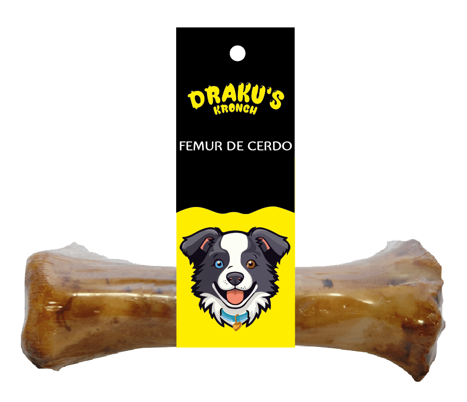 Femur de cerdo