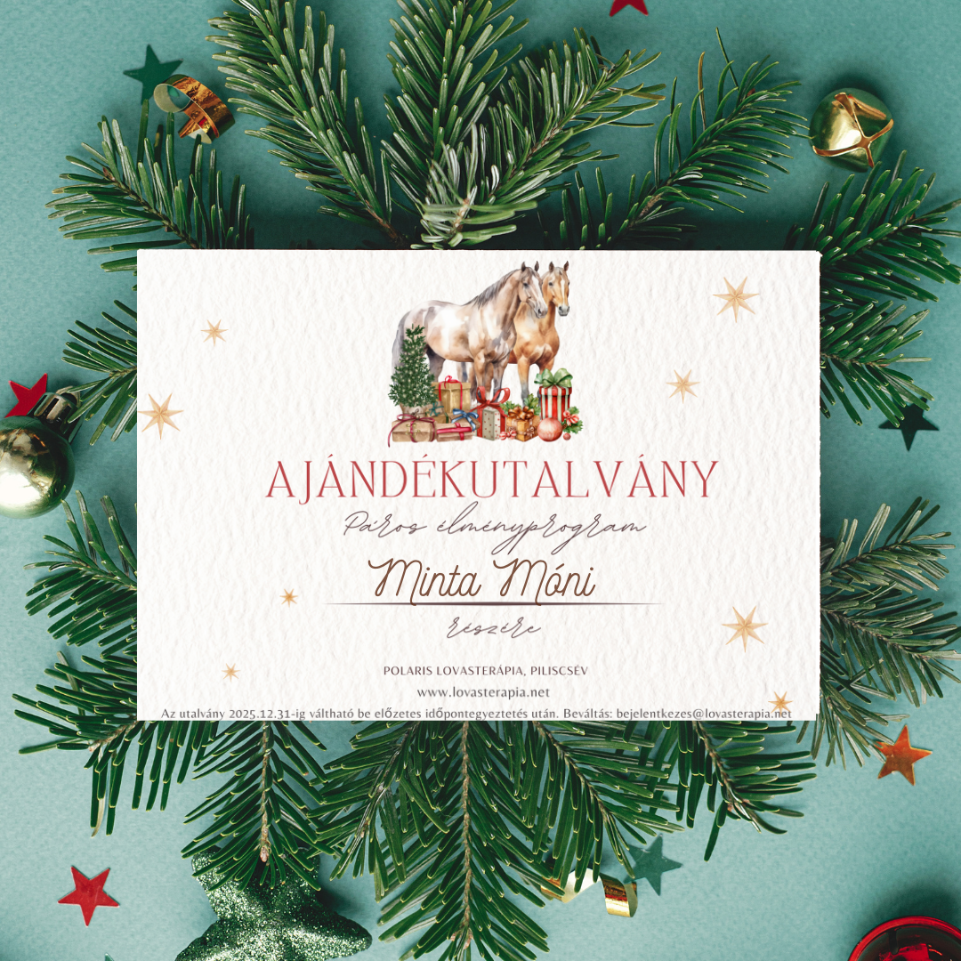 Páros élményprogram - Karácsonyi utalvány
