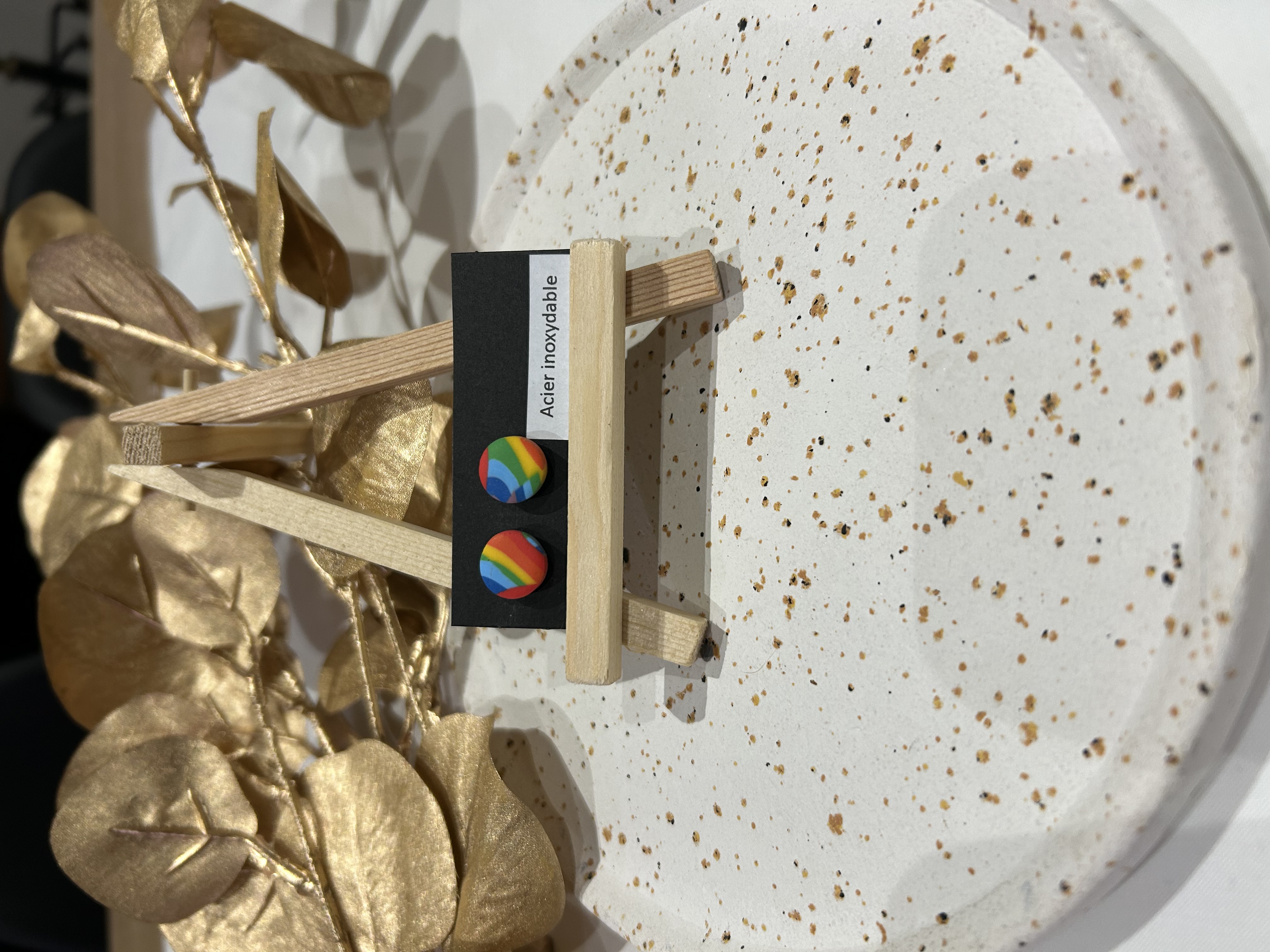 Puces d’oreilles rondes arc en ciel vibrant 