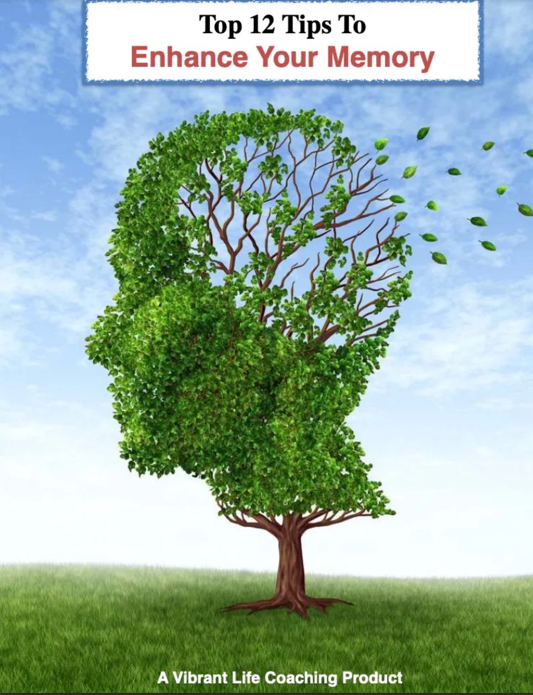 Top 12 Tips to Enhance your Memory