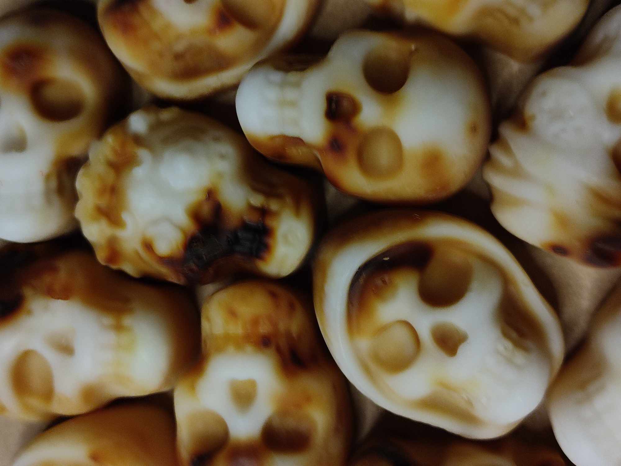 Cucurbita Ambrata • 15gr