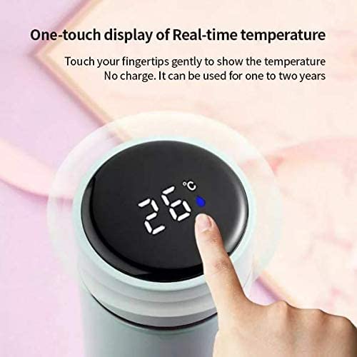 Temperature Display Stainless Steel Water Bottle