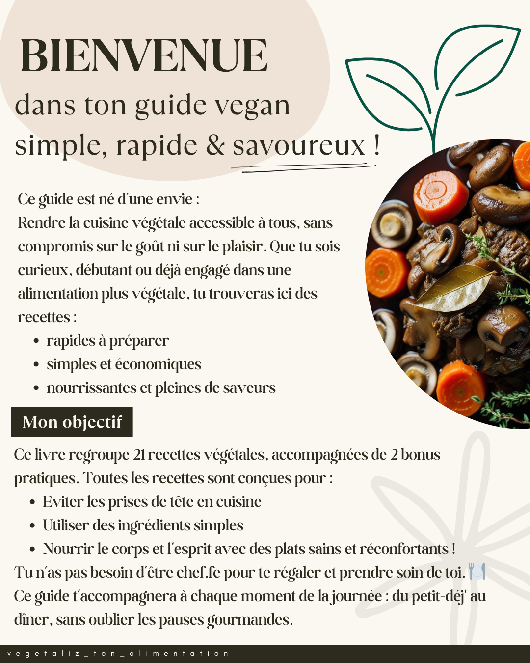 E-book - 21 Fiches Recettes Végétales ! 