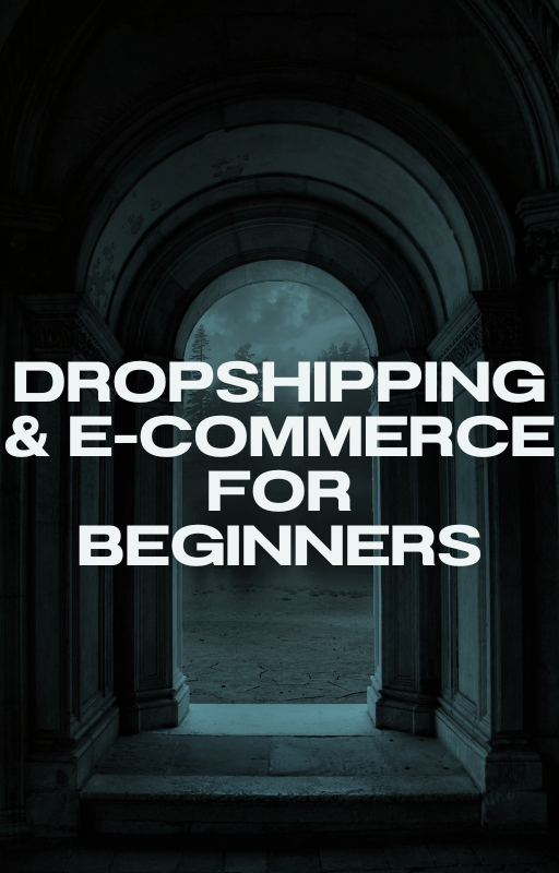 Dropshipping & E-Commerce for Beginners
