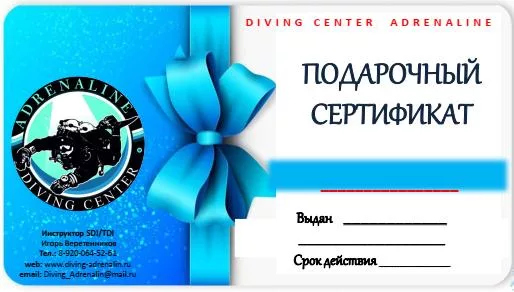 Дайвинг При Наличии Сертификата