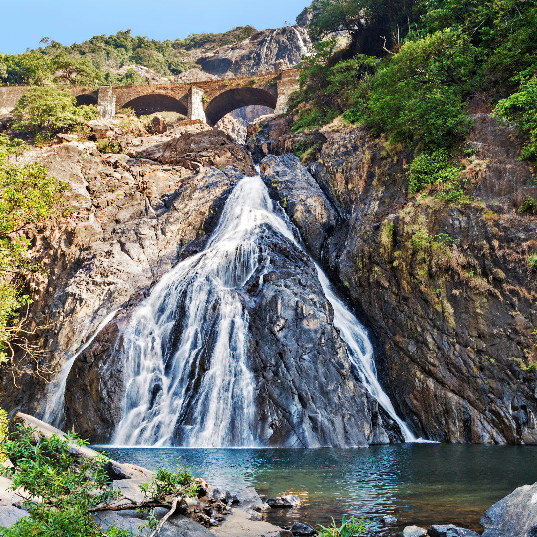 Dudhsagar with Spice Plantation