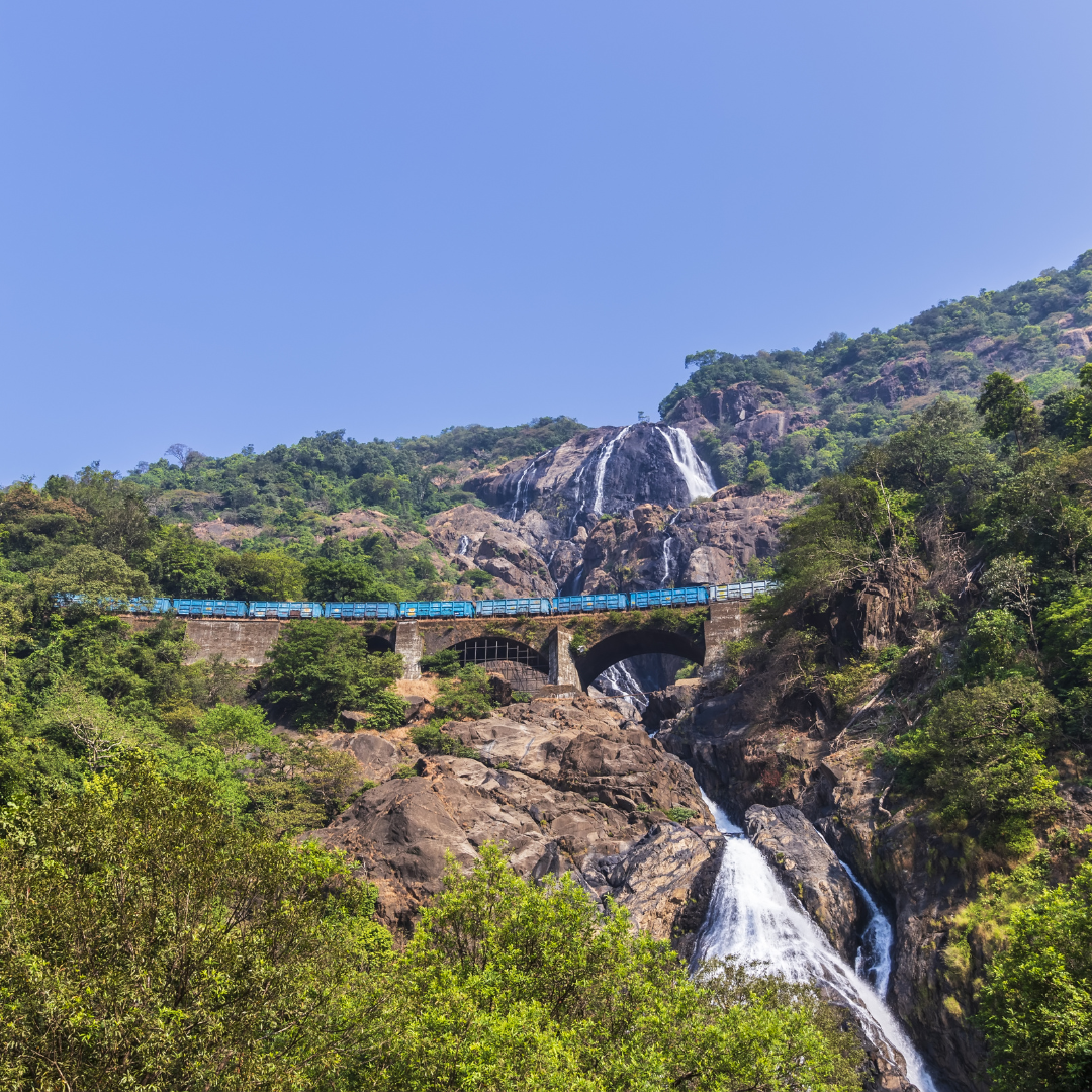 Dudhsagar with Spice Plantation