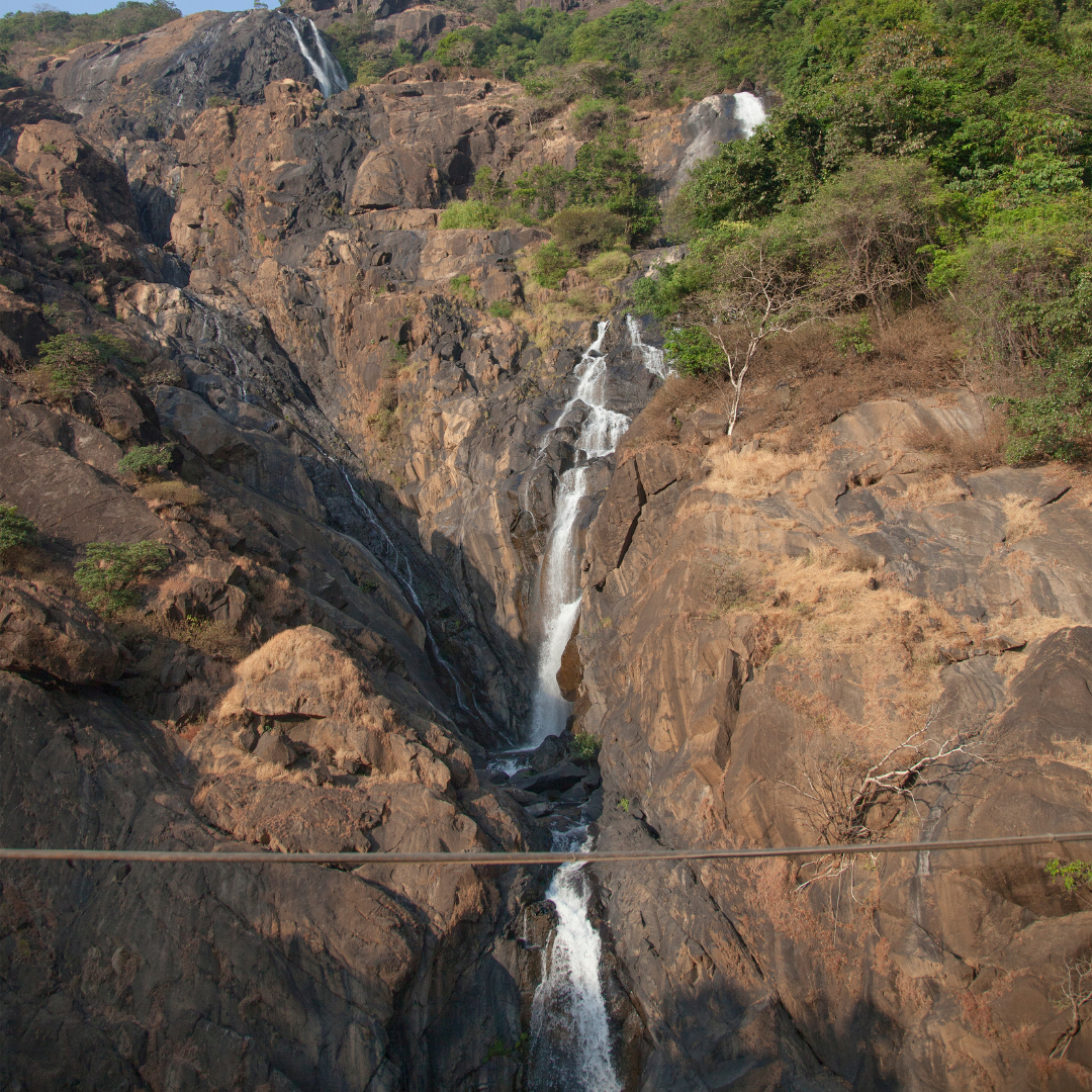 Dudhsagar with Spice Plantation