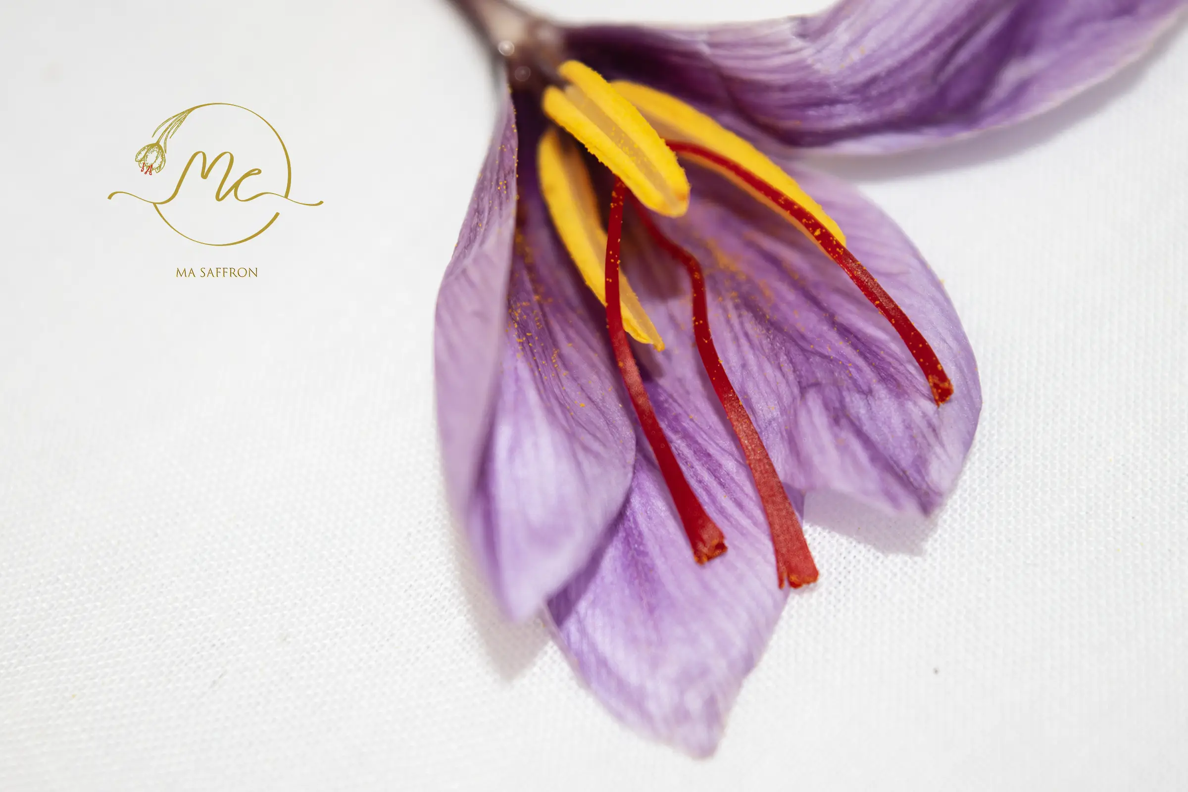 Pistilo de acafrao 0.5 g